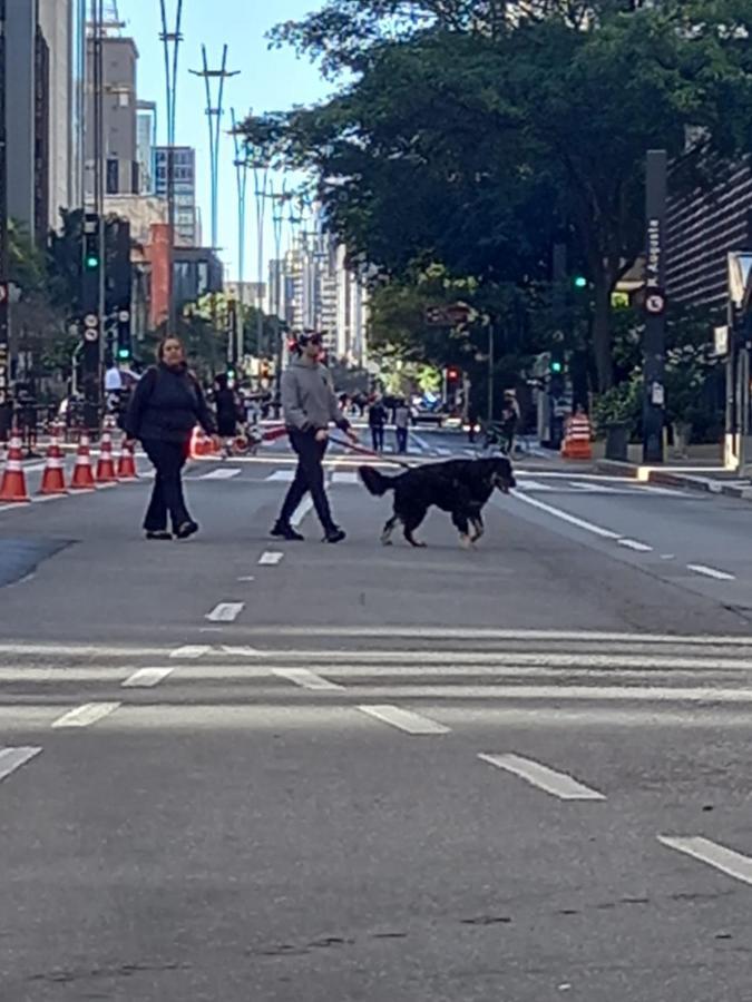 Hostel Trilhas E Rotas - A 150M Da Avenida Paulista São Paulo Eksteriør billede